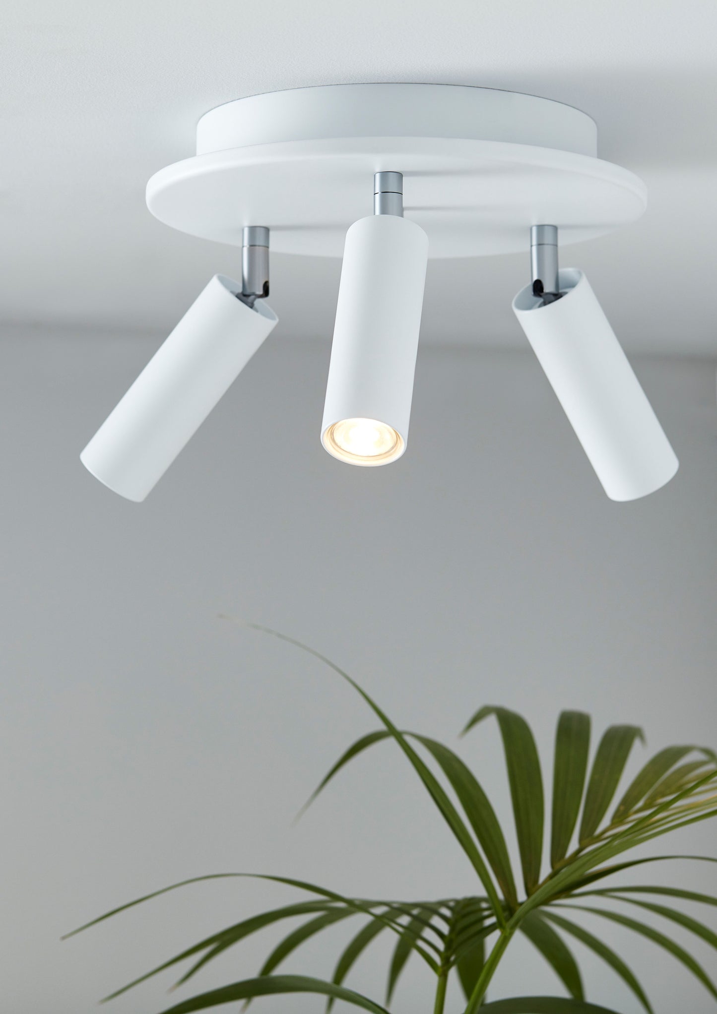 Pipeline 3 spotlight