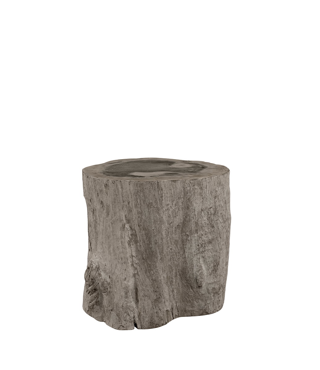 COLORADO LOG