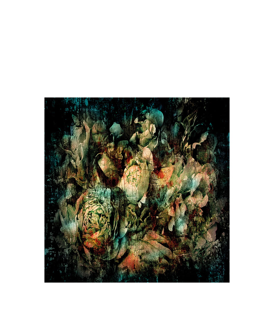 BOTANICAL ABSTRACT - Plexiglas, Aluminium