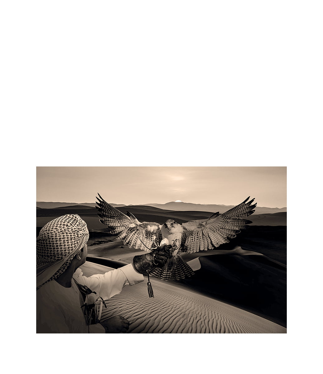 ARABIAN HUNT - Aluminium, Plexiglas