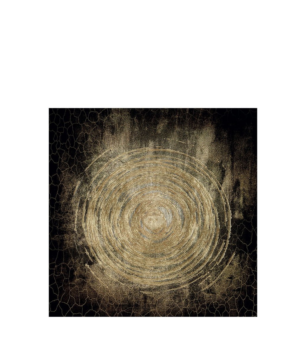 CIRCLE OF LIFE - Plexiglas, Aluminium