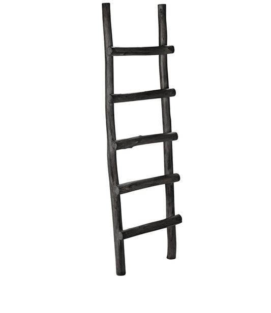 LADDER