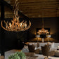ANTLER CHANDELIER