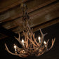 ANTLER CHANDELIER