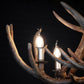 ANTLER CHANDELIER